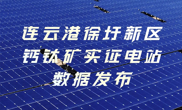 硬核数据首发！华东地区首个规模化钙钛矿实证电站成绩单来了